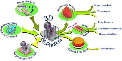 3D Bioprinting at the Frontier of Regenerative Medicine, Pharmaceutical, and Food Industries